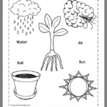 Pre K Science Worksheet