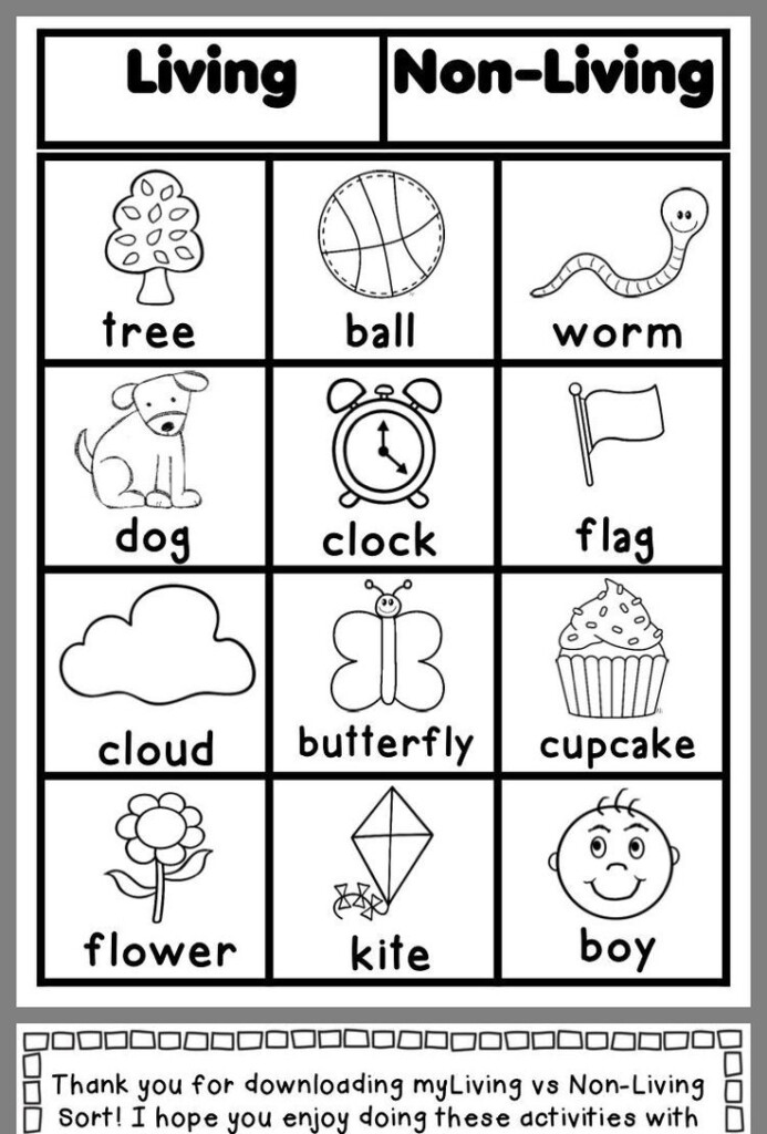 Pre K Science Worksheet