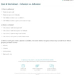 Quiz Worksheet Cohesion Vs Adhesion Study