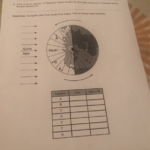 Regents Earth Science Worksheet