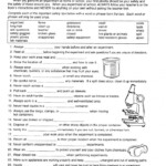 Safety In Laboratory Worksheets