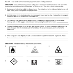 Safety In The Laboratory Worksheet Answers Naturalens