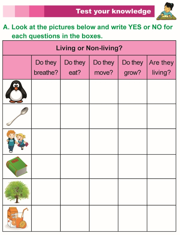 Science 1st Grade Worksheets