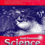 SCIENCE 2006 WORKBOOK GRADE 5 Scott Foresman 9780328126149 AbeBooks