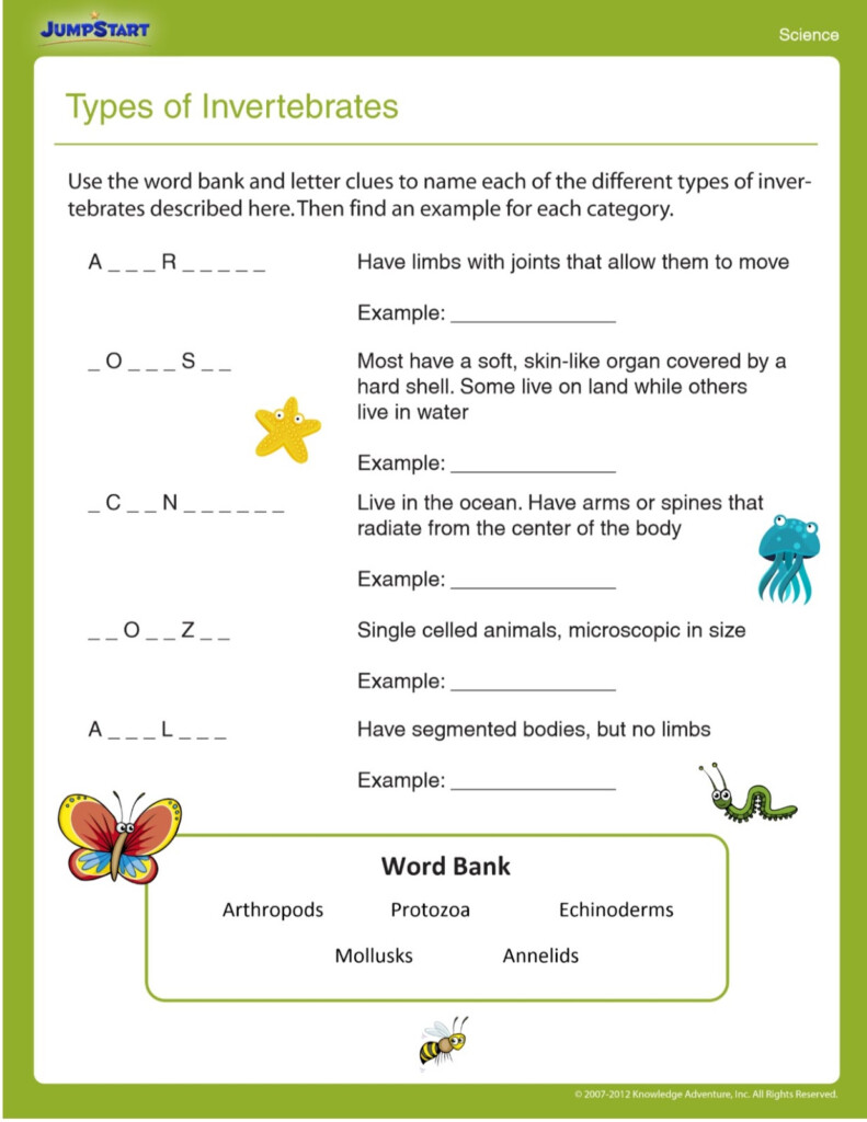 Science 4 Worksheets zipped The Teacher s Craft