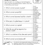 Science Activities For 3rd Graders