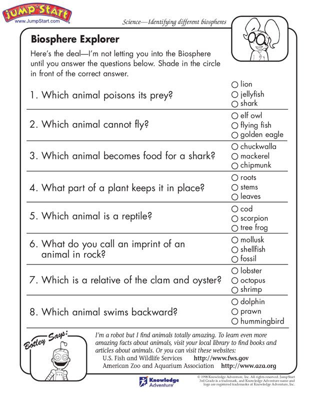 Science Activities For 3rd Graders