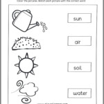 Science Activities For First Grade