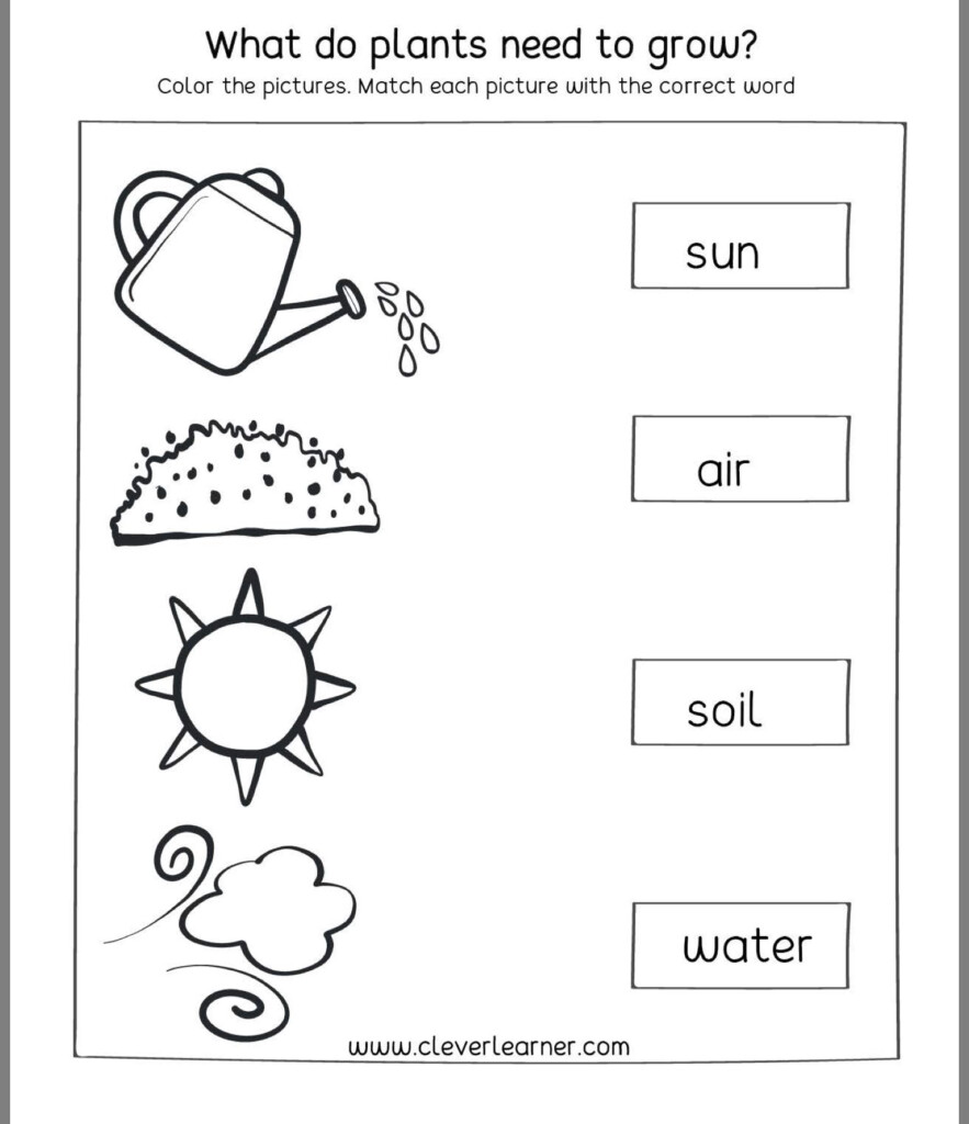 Science Activities For First Grade