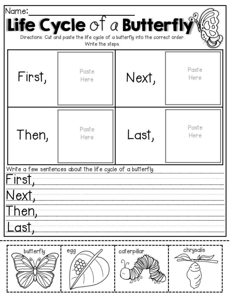 Science For 1St Grade Worksheet