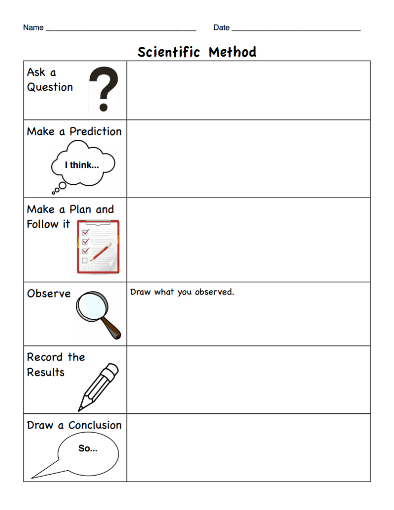 Science For 5Th Graders Worksheet