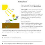 Science Lessons 4th Grade