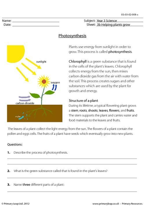 Science Lessons 4th Grade