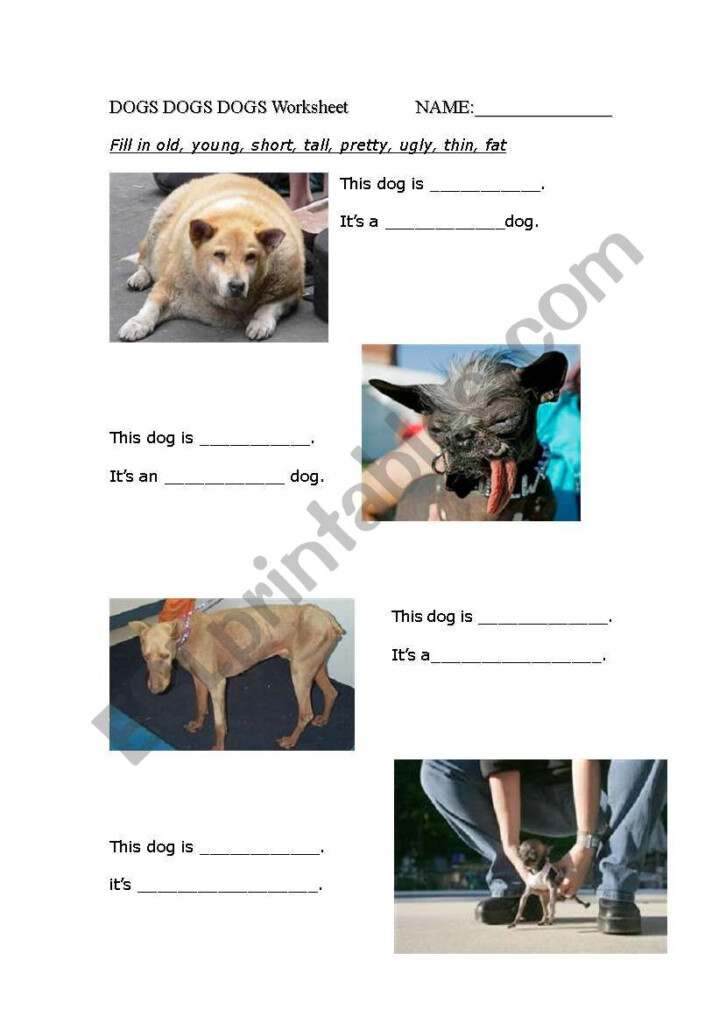 Science Of Dogs Worksheet