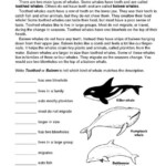 Science Worksheet Classifying Whales The Mailbox Science