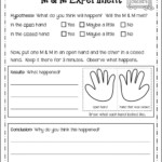 Science Worksheet For 2nd Grade