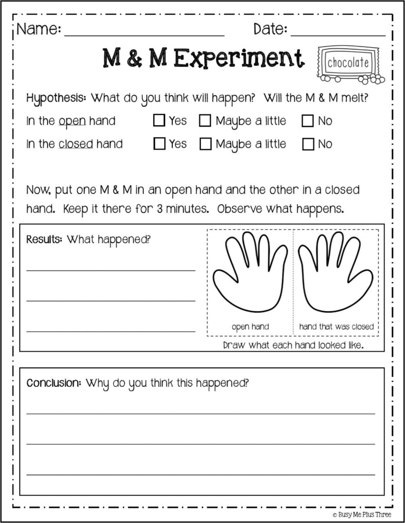 Science Worksheet For 2nd Grade