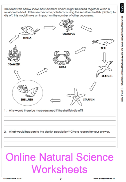 Science Worksheet For 6th Grade