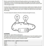 Science Worksheet Grade 5