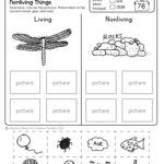 Science Worksheets For 1st Grade