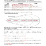 Science Worksheets For 5th Grade