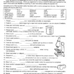 Science Worksheets For 7th Graders