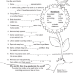 Science Worksheets For Grade 2