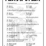 Science Worksheets For Grade 3 Pdf