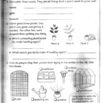 Science Worksheets For Grade 3 Printables