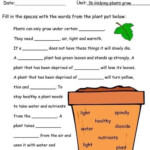 Science Worksheets For Third Grade Plants