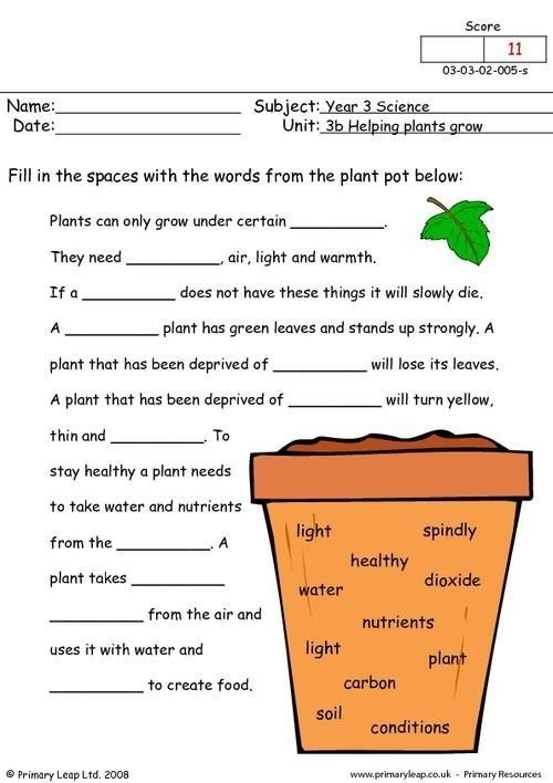Science Worksheets For Third Grade Plants