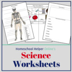 Science Worksheets Homeschool Helper Online