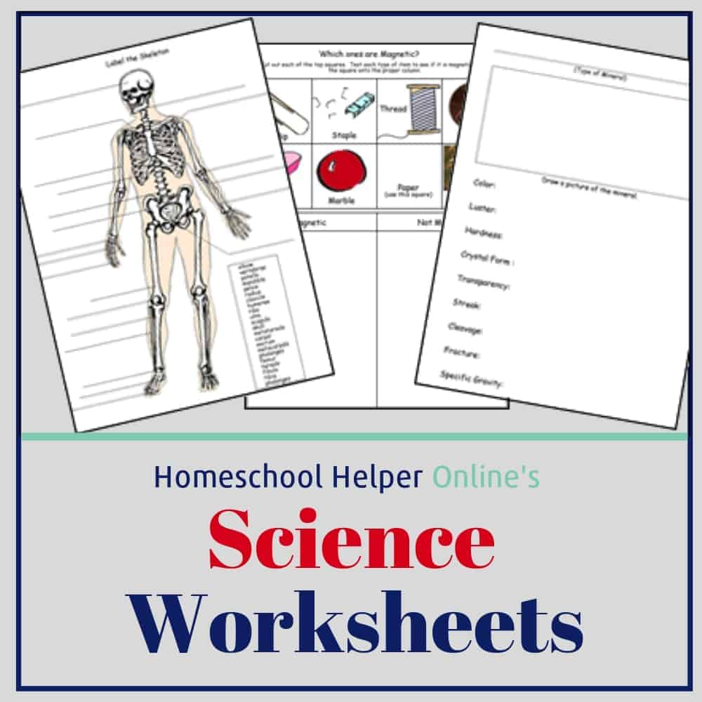 Science Worksheets Homeschool Helper Online