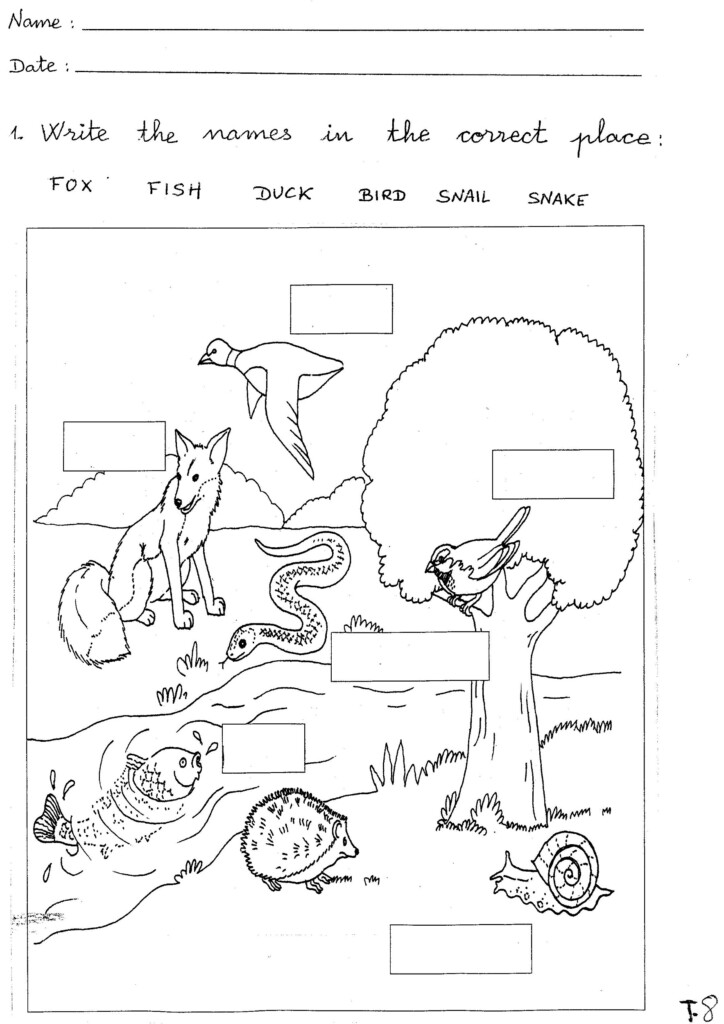 Science Worksheets On Animals