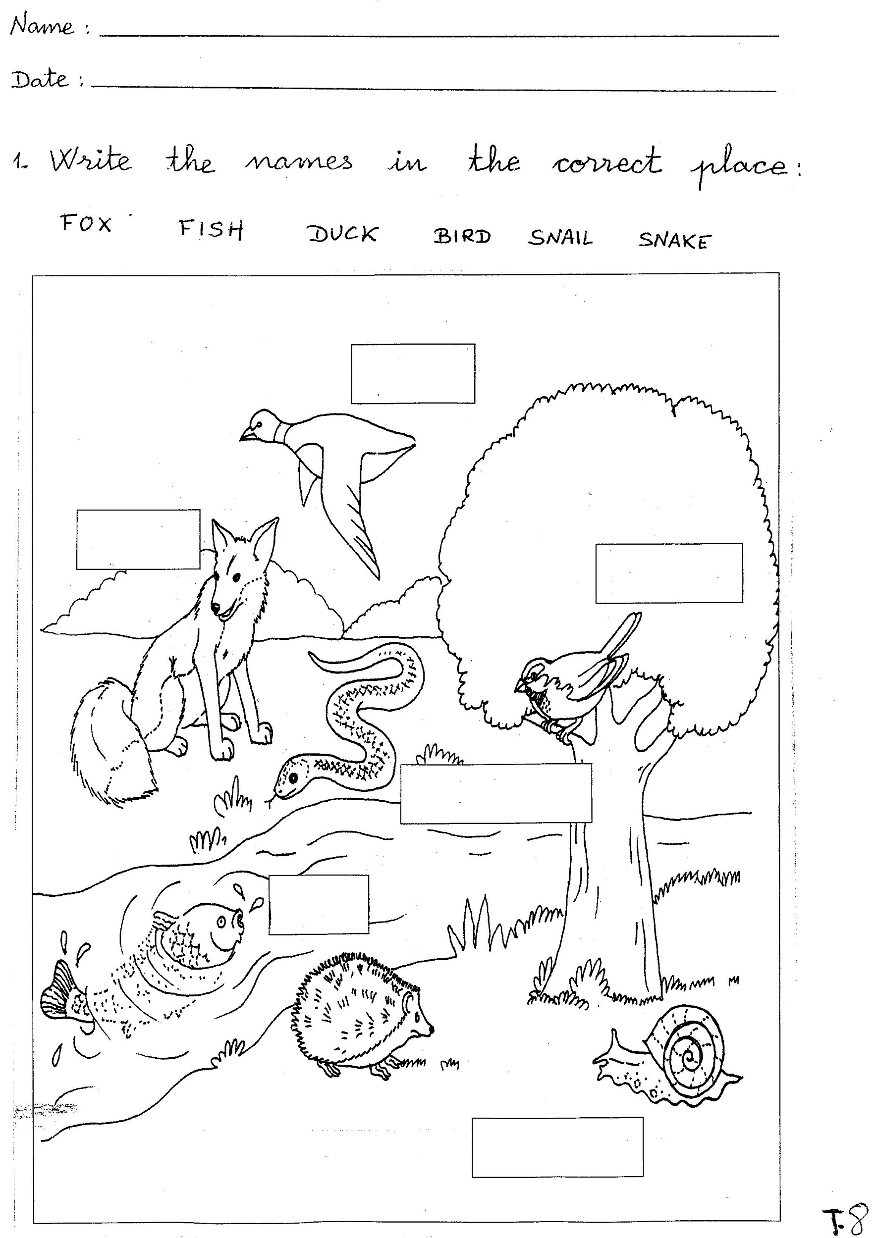 Science Worksheets On Animals