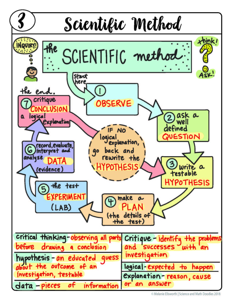 Scientific Method For 6Th Graders