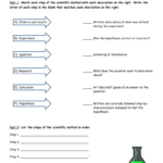 Scientific Method Matching Worksheet