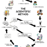 Scientific Method Worksheet Grade 8