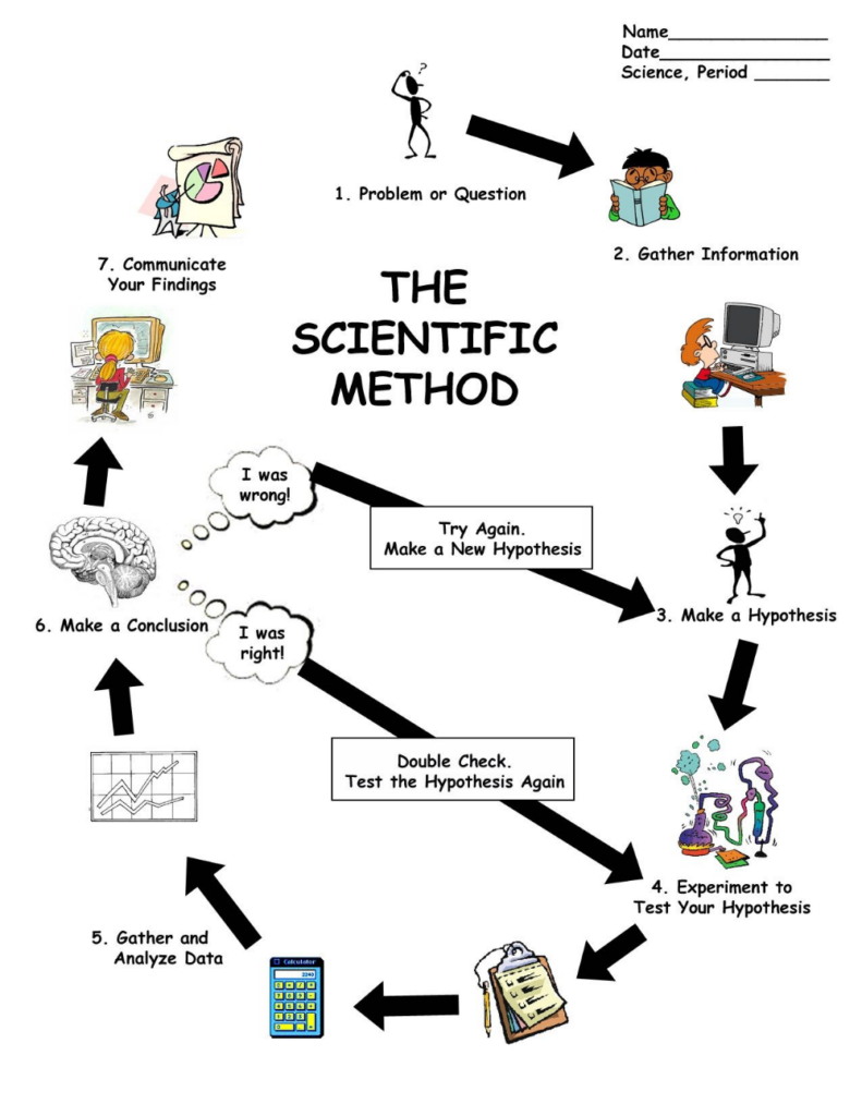 Scientific Method Worksheet Grade 8