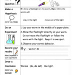 Scientific Method Worksheet Printable