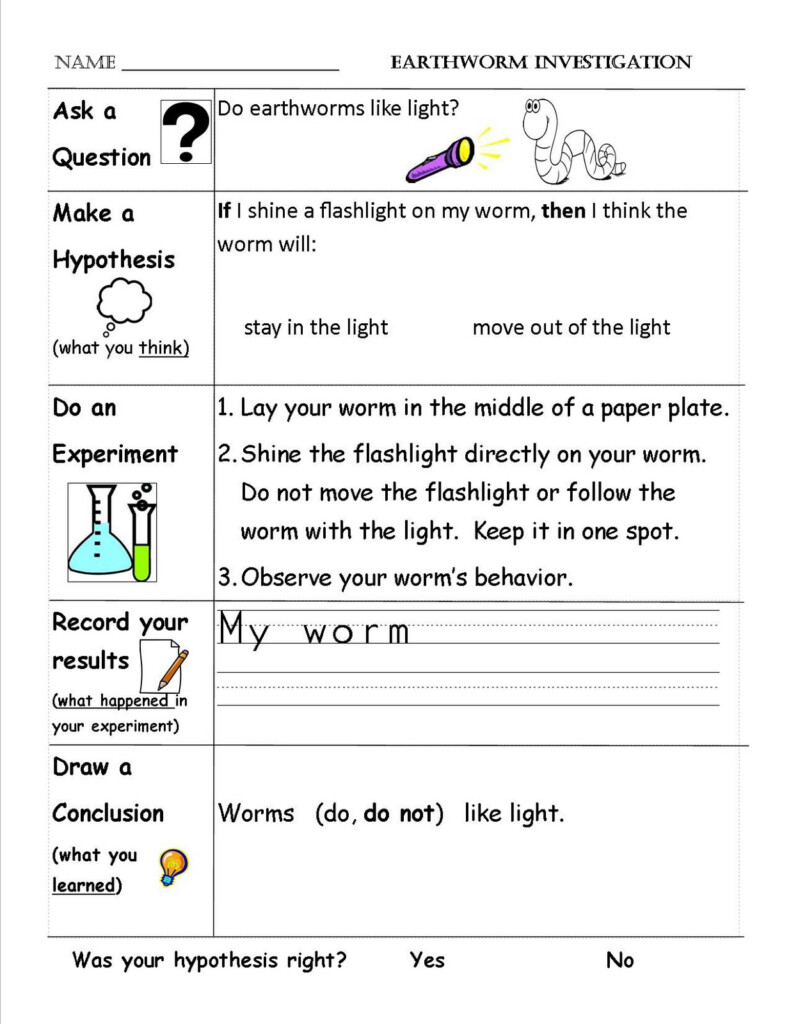 Scientific Method Worksheet Printable