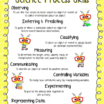 Scientific Process Worksheet 3Rd Grade