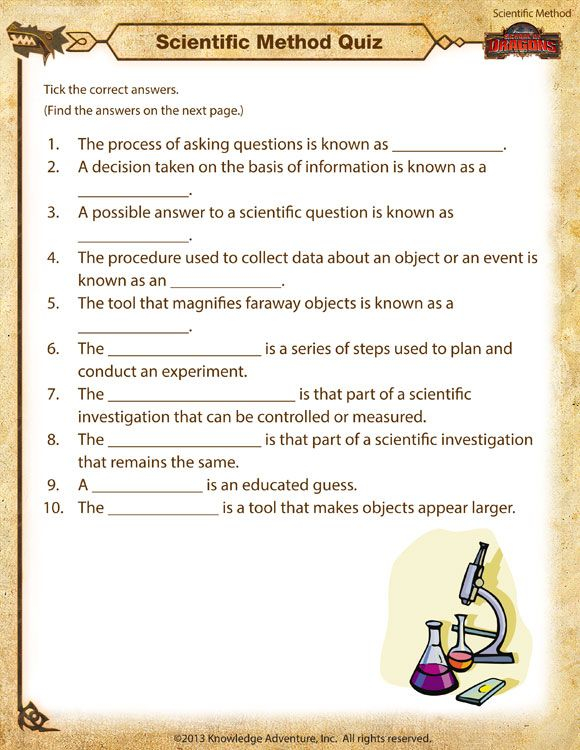 Scientific Process Worksheet 4Th Grade
