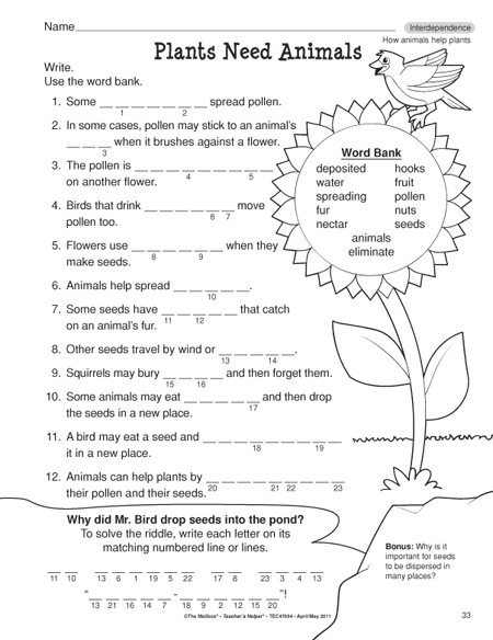 Second Grade Science Worksheets Free