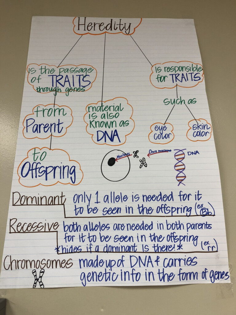 Seventh Grade Science Worksheet