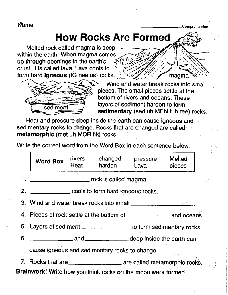 Sixth Grade Science Worksheet