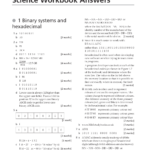 SOLUTION Cambridge Igcse Computer Science Workbook Answers By David