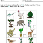 Standard 1 Science Worksheet Malaysia Year 2 Printable Resources Free