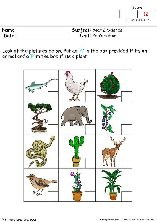 Standard 1 Science Worksheet Malaysia Year 2 Printable Resources Free