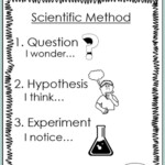 Steps Of Scientific Method Worksheets